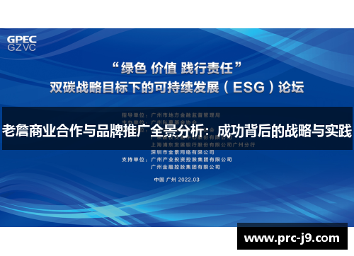 老詹商业合作与品牌推广全景分析：成功背后的战略与实践