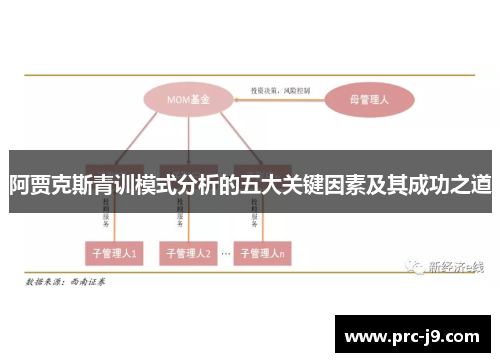 阿贾克斯青训模式分析的五大关键因素及其成功之道 阿贾克斯青训模式分析的五大关键因素及其成功之道