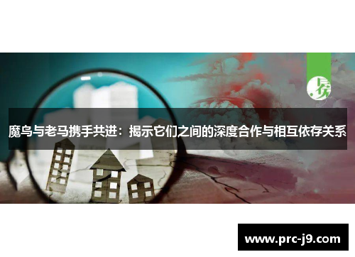魔鸟与老马携手共进：揭示它们之间的深度合作与相互依存关系