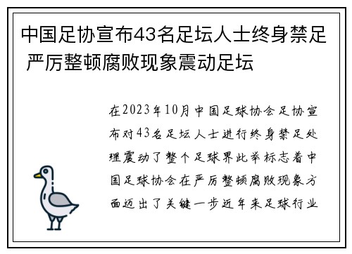 中国足协宣布43名足坛人士终身禁足 严厉整顿腐败现象震动足坛
